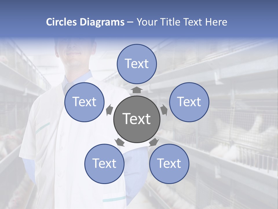 Factory Animal Poultry PowerPoint Template