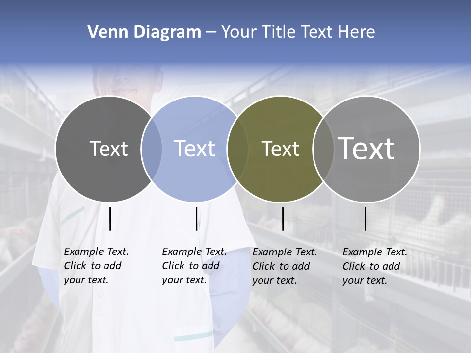 Factory Animal Poultry PowerPoint Template