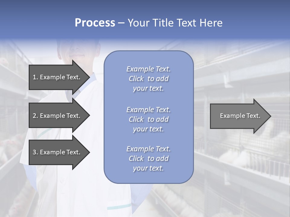 Factory Animal Poultry PowerPoint Template