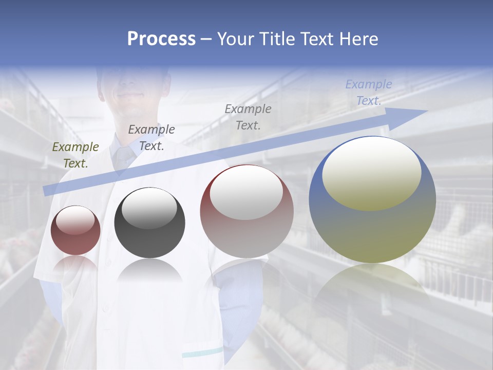 Factory Animal Poultry PowerPoint Template
