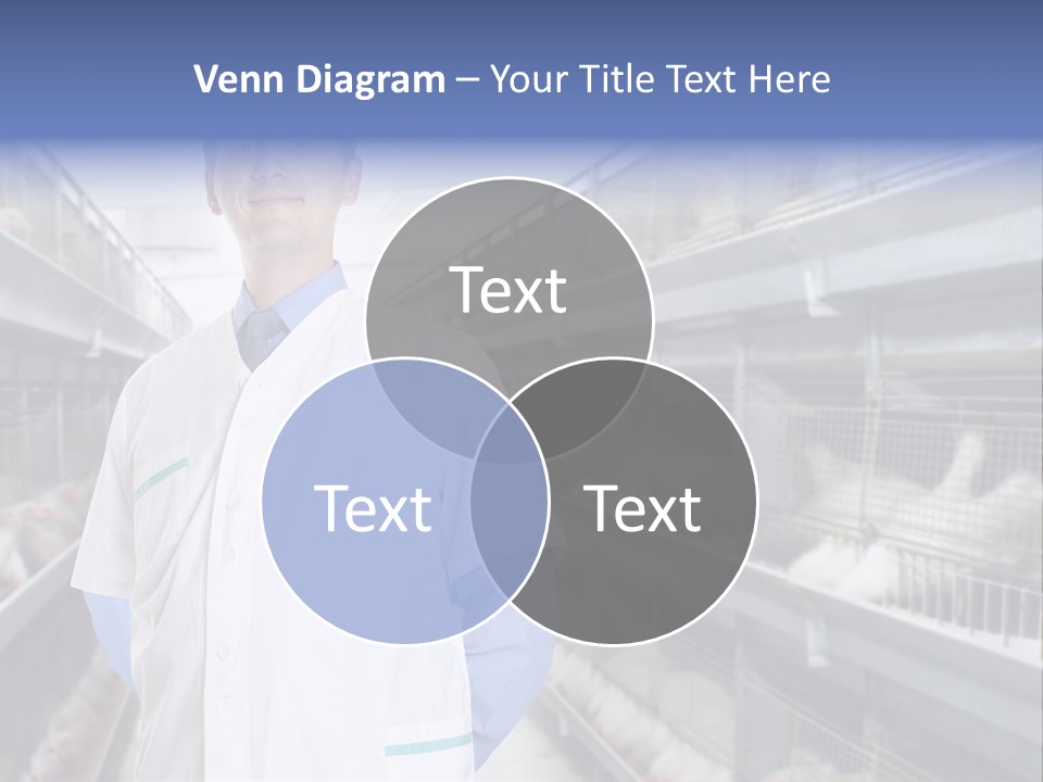 Factory Animal Poultry PowerPoint Template
