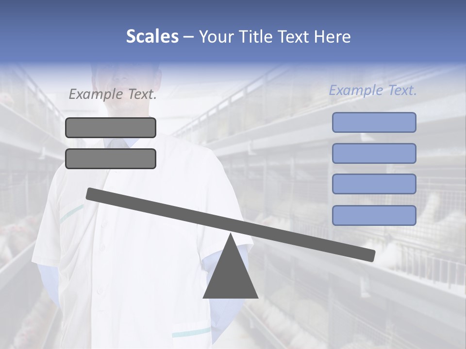 Factory Animal Poultry PowerPoint Template