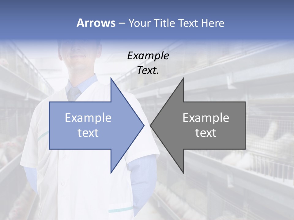 Factory Animal Poultry PowerPoint Template