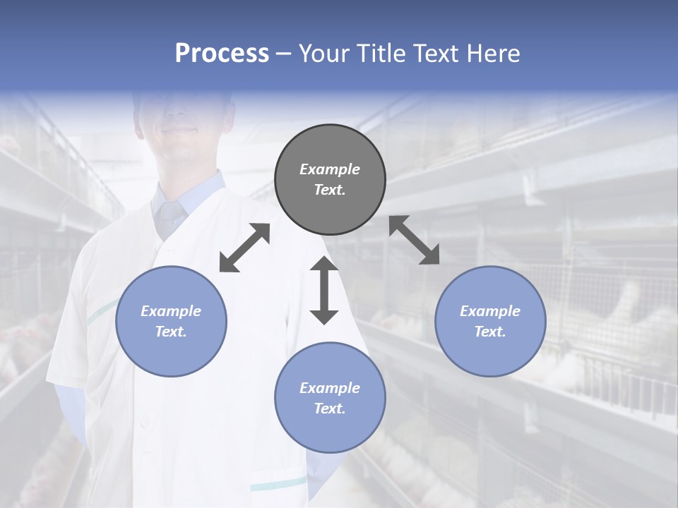 Factory Animal Poultry PowerPoint Template