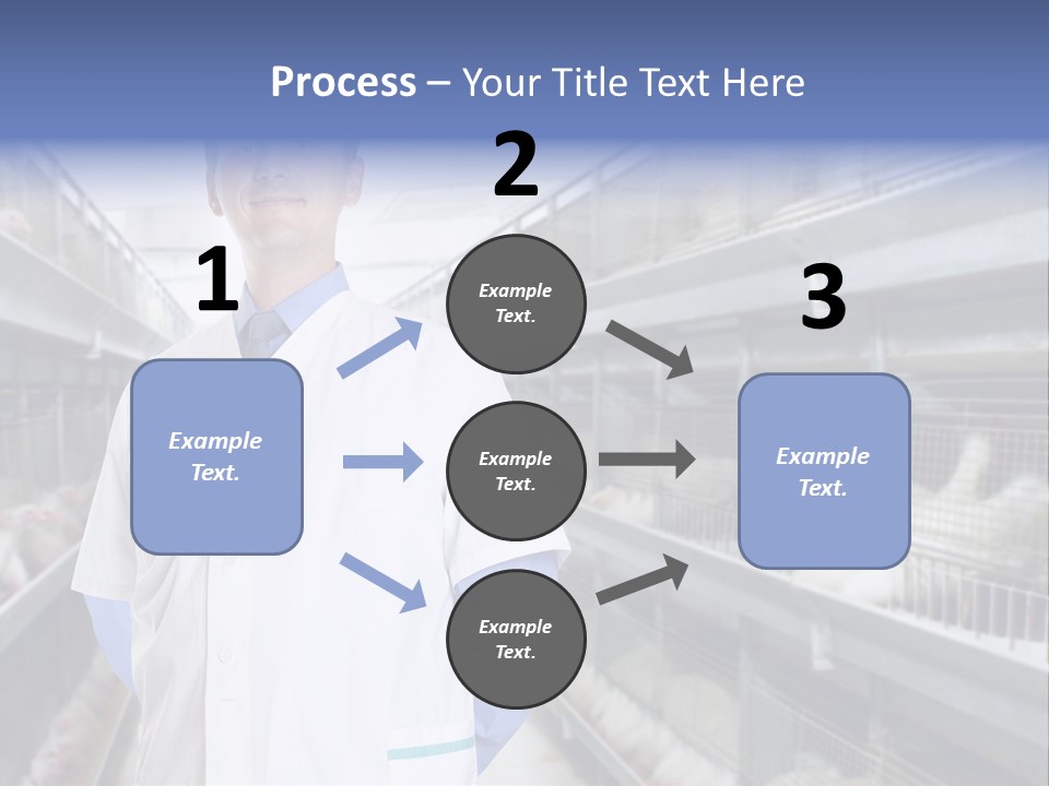 Factory Animal Poultry PowerPoint Template