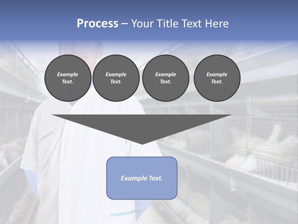 Factory Animal Poultry PowerPoint Template