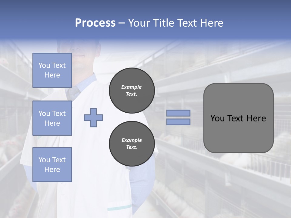 Factory Animal Poultry PowerPoint Template