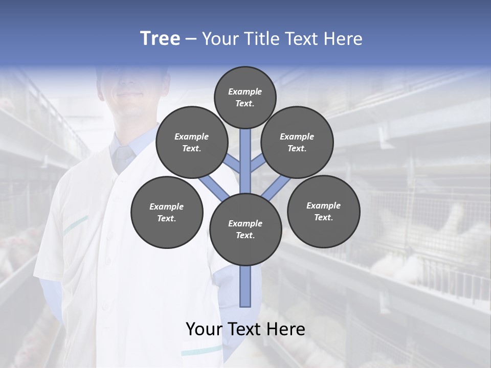 Factory Animal Poultry PowerPoint Template
