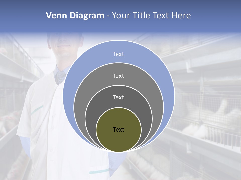 Factory Animal Poultry PowerPoint Template