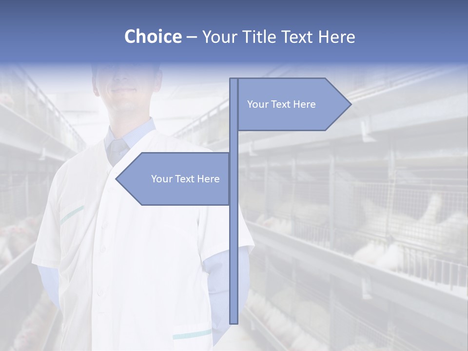 Factory Animal Poultry PowerPoint Template