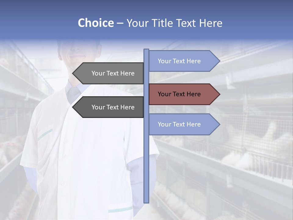 Factory Animal Poultry PowerPoint Template