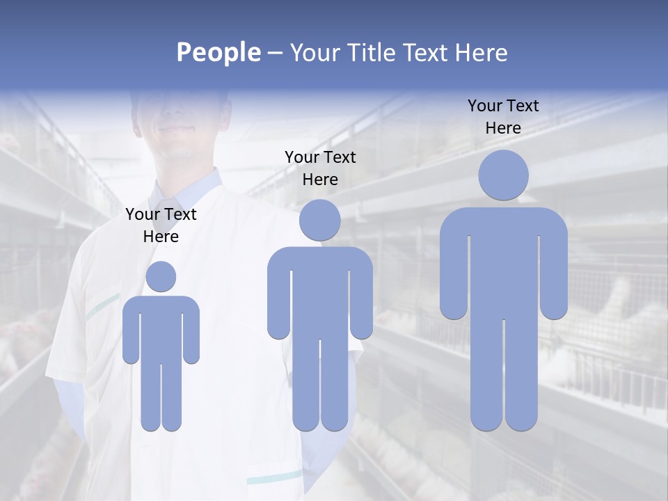Factory Animal Poultry PowerPoint Template