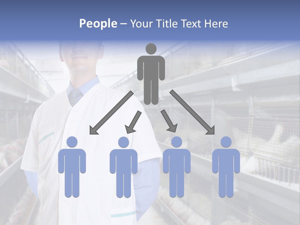 Factory Animal Poultry PowerPoint Template