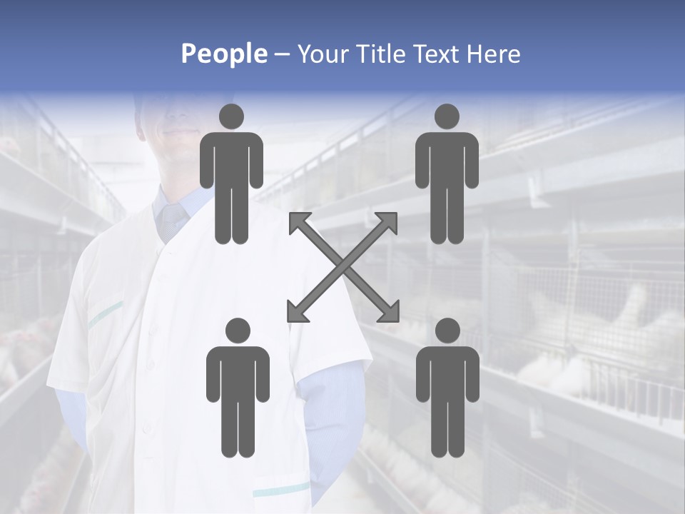 Factory Animal Poultry PowerPoint Template