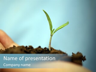 Success Grow Creativity PowerPoint Template