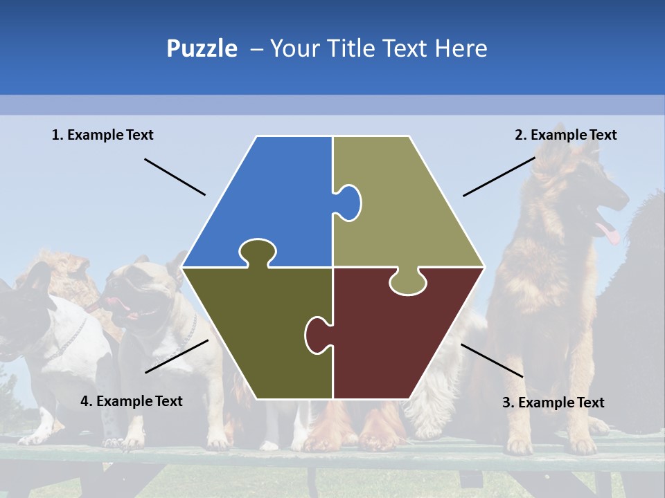 Maltese King Beautiful PowerPoint Template