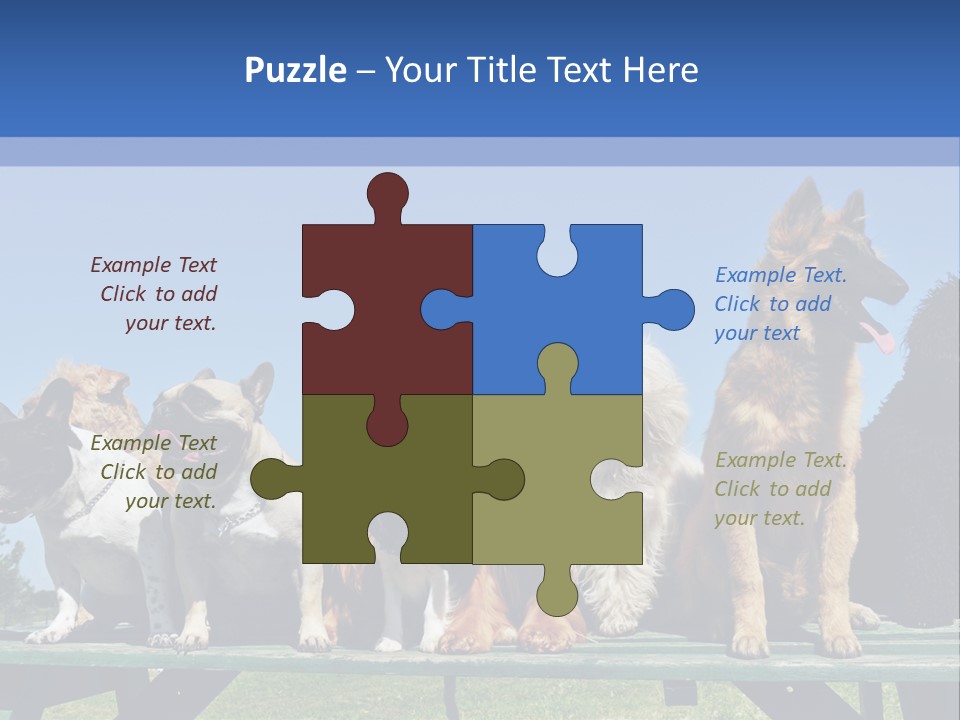 Maltese King Beautiful PowerPoint Template