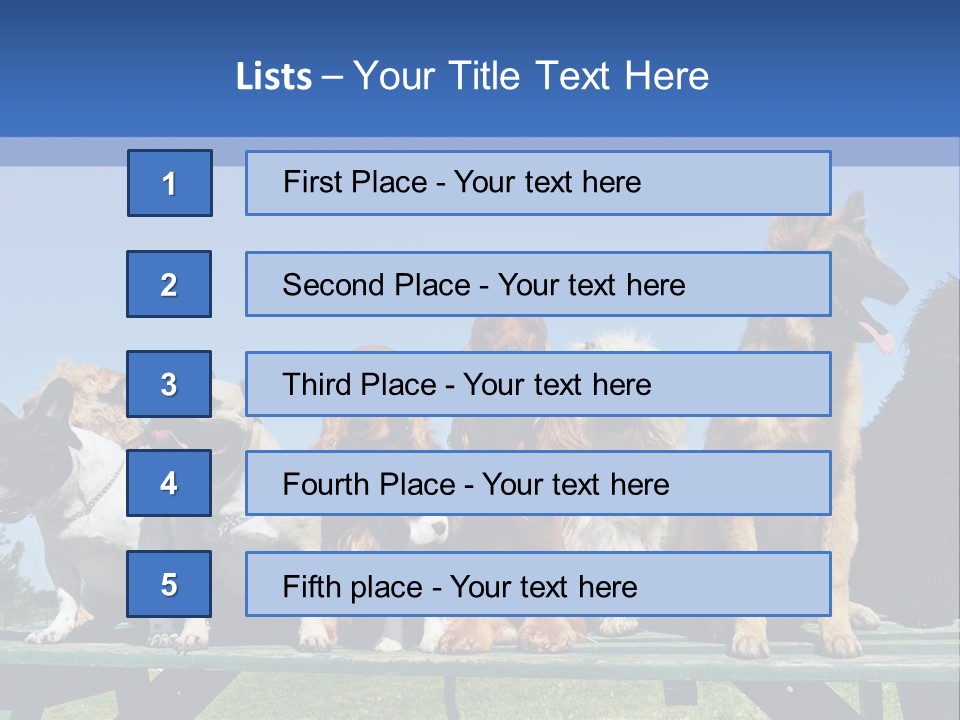 Maltese King Beautiful PowerPoint Template