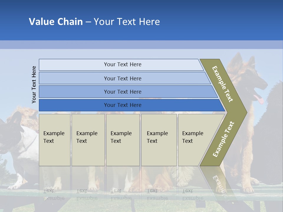 Maltese King Beautiful PowerPoint Template