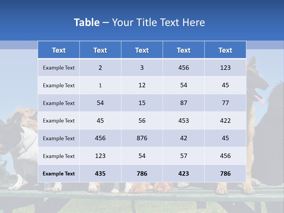 Maltese King Beautiful PowerPoint Template