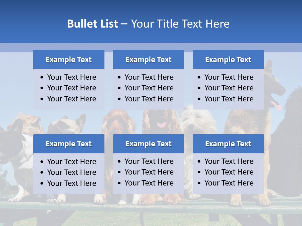 Maltese King Beautiful PowerPoint Template