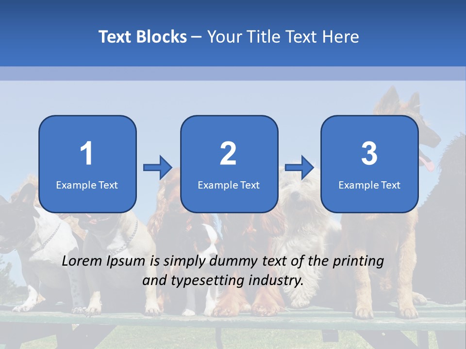 Maltese King Beautiful PowerPoint Template