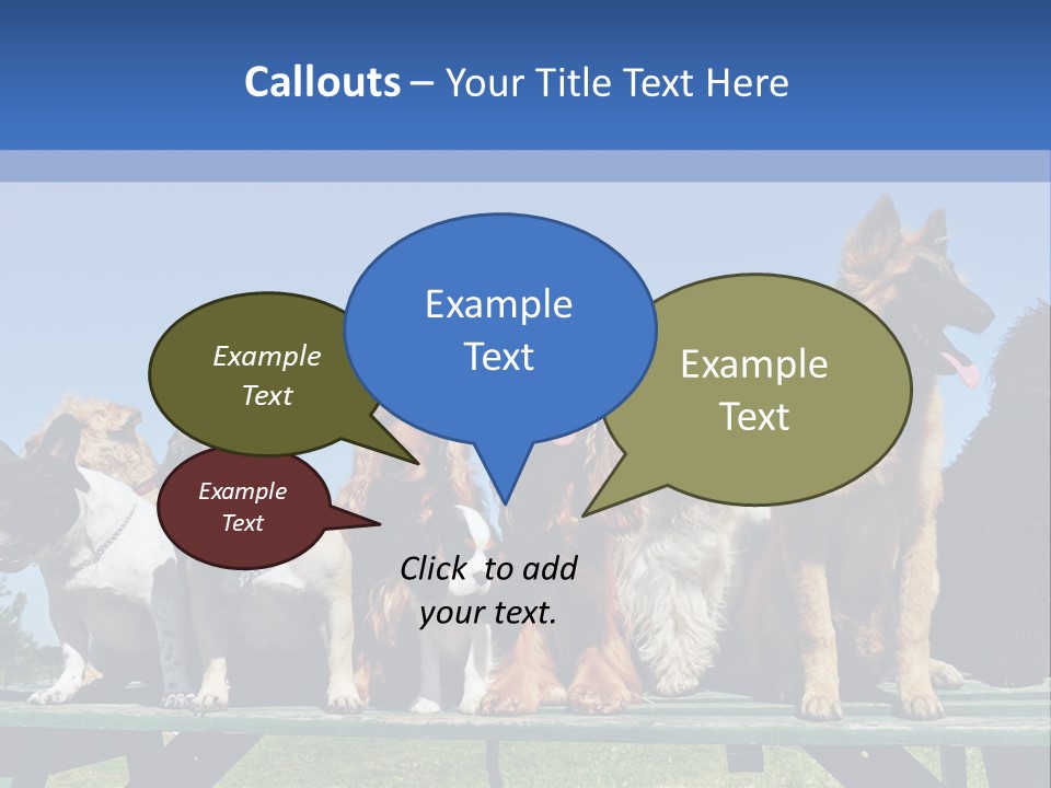 Maltese King Beautiful PowerPoint Template