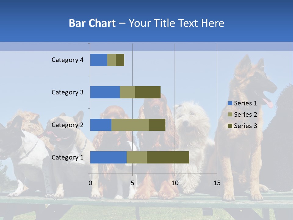 Maltese King Beautiful PowerPoint Template