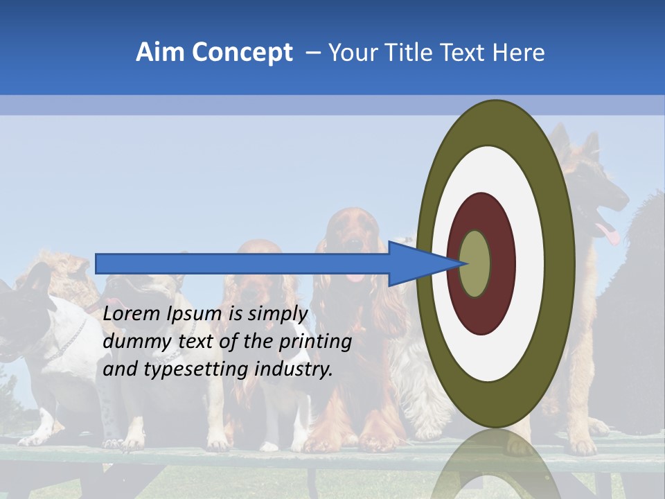 Maltese King Beautiful PowerPoint Template