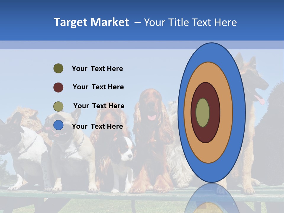 Maltese King Beautiful PowerPoint Template