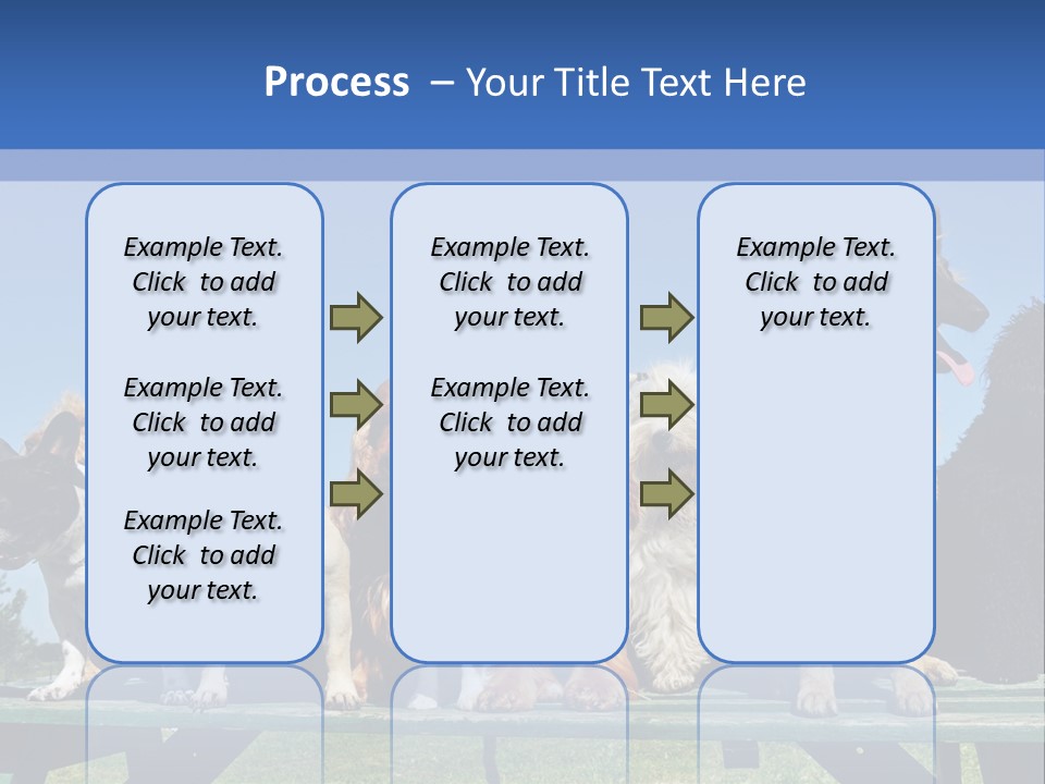 Maltese King Beautiful PowerPoint Template