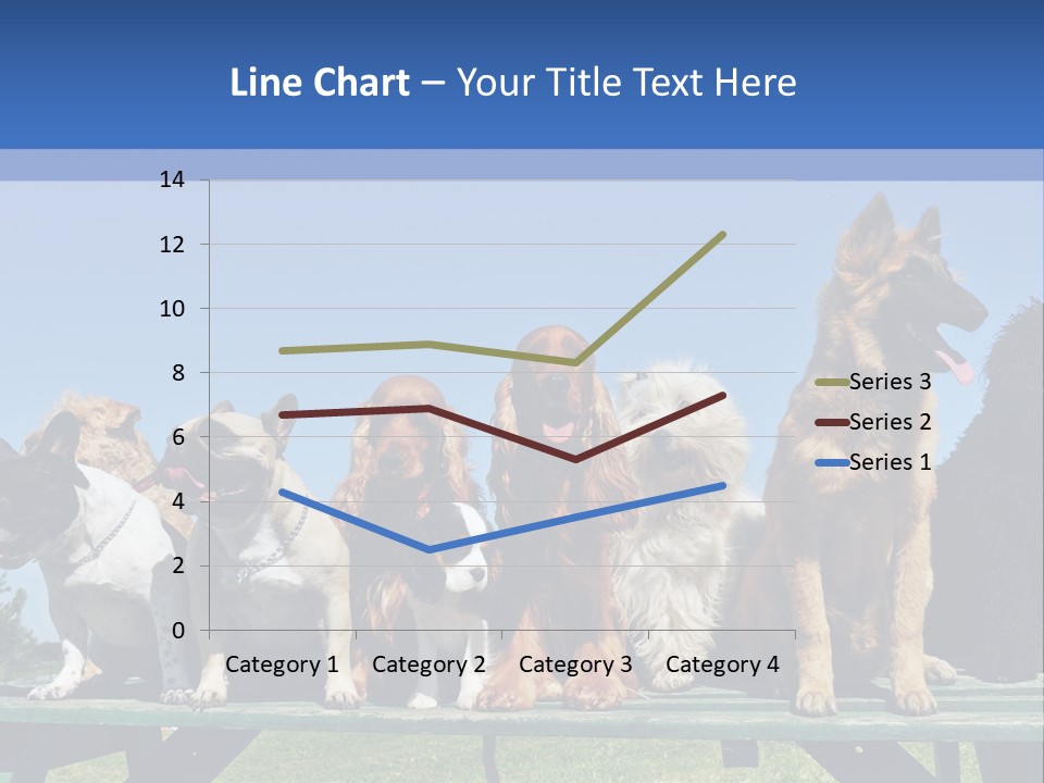 Maltese King Beautiful PowerPoint Template