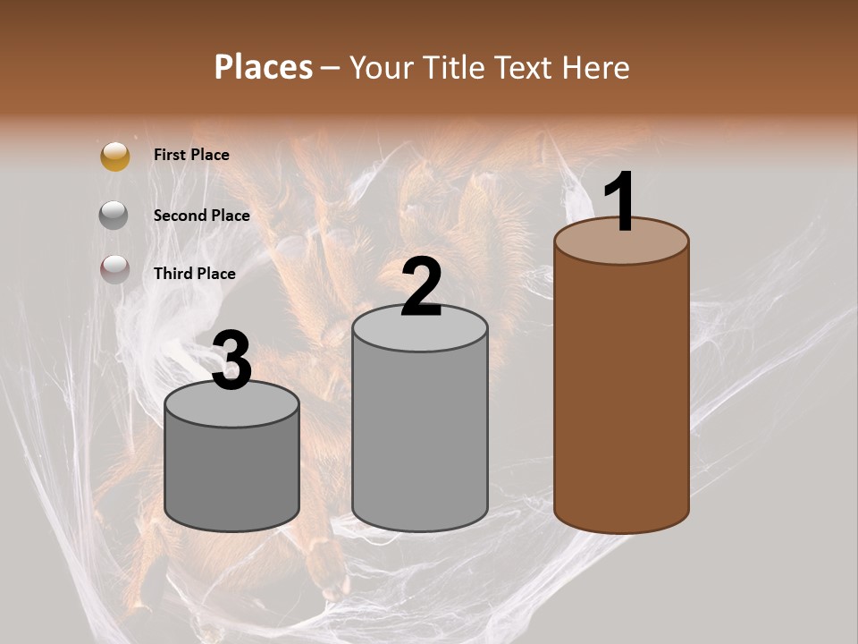 Animal Nature Nobody PowerPoint Template