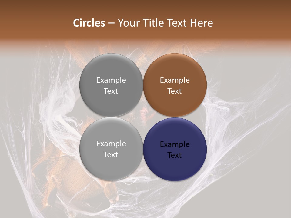 Animal Nature Nobody PowerPoint Template