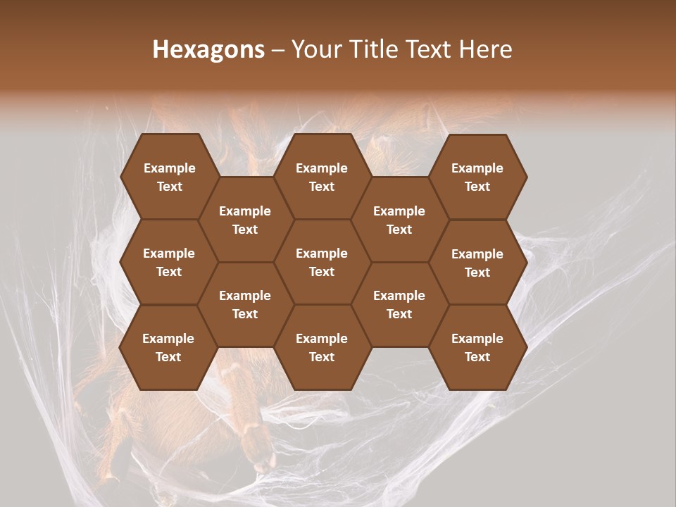 Animal Nature Nobody PowerPoint Template