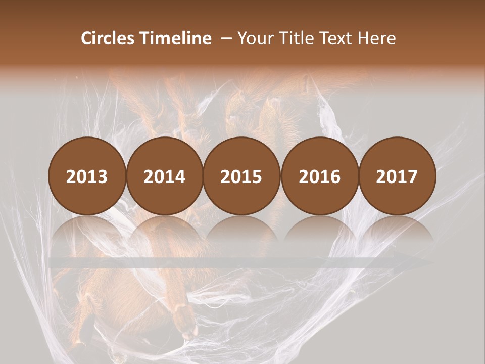 Animal Nature Nobody PowerPoint Template