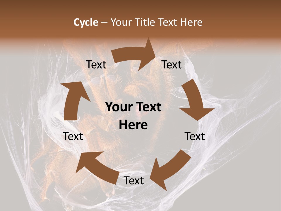 Animal Nature Nobody PowerPoint Template