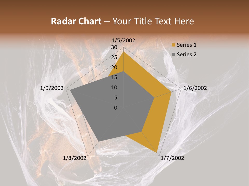 Animal Nature Nobody PowerPoint Template