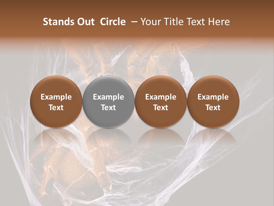 Animal Nature Nobody PowerPoint Template