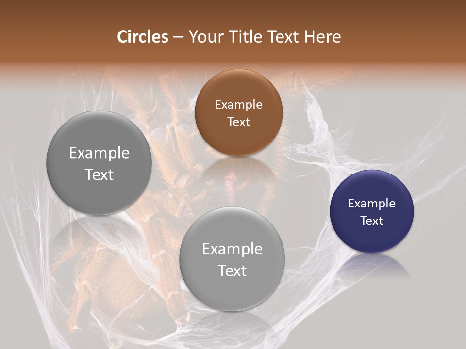 Animal Nature Nobody PowerPoint Template