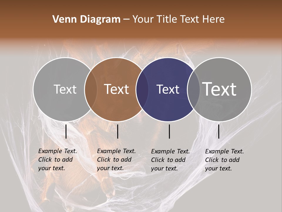 Animal Nature Nobody PowerPoint Template