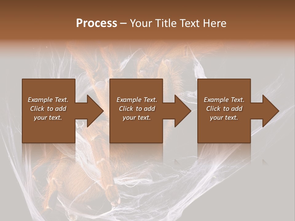 Animal Nature Nobody PowerPoint Template