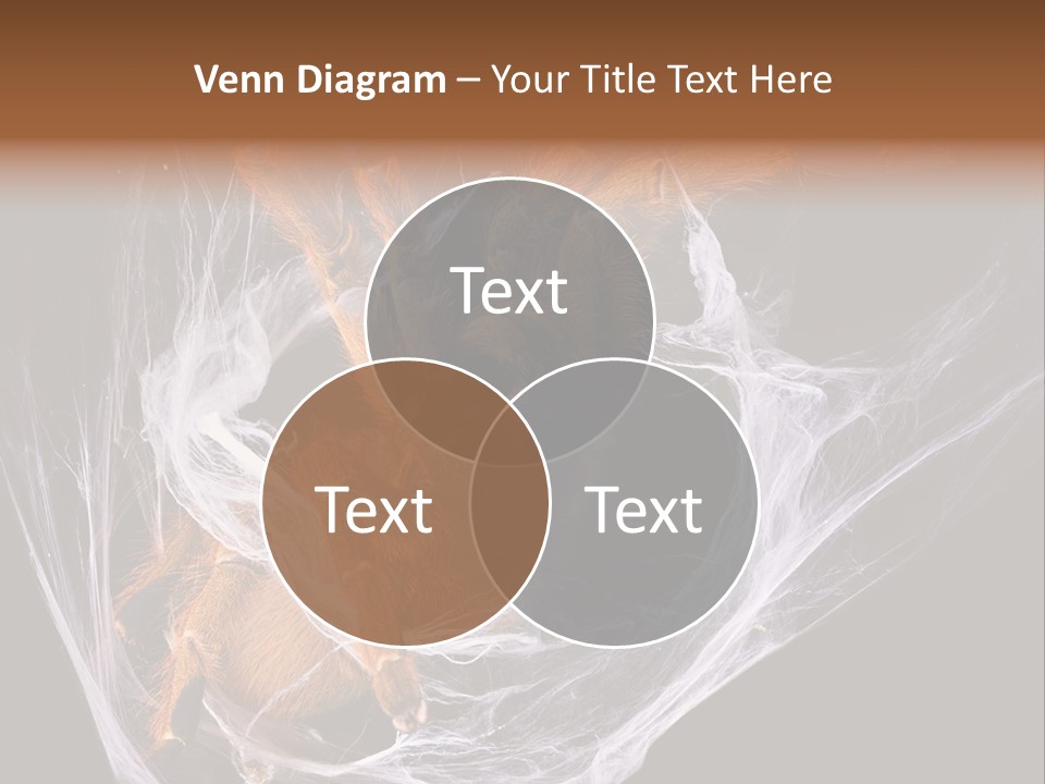 Animal Nature Nobody PowerPoint Template