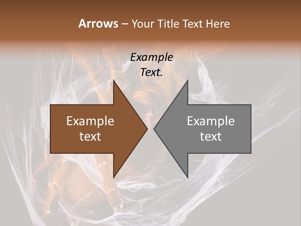 Animal Nature Nobody PowerPoint Template