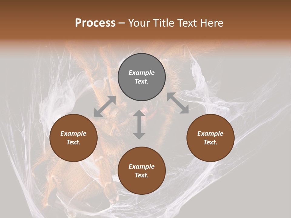 Animal Nature Nobody PowerPoint Template