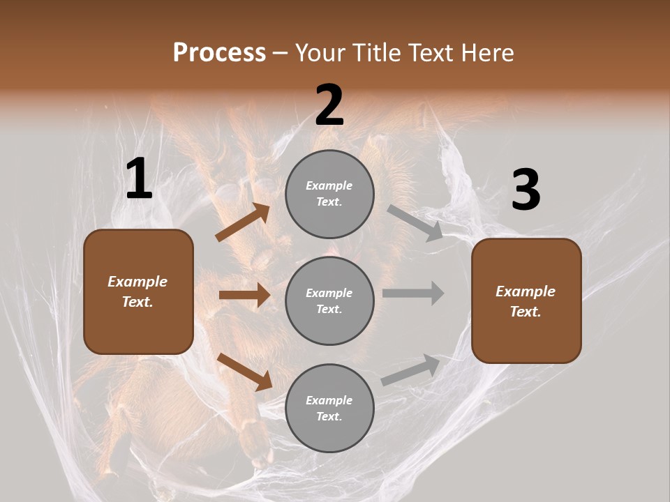 Animal Nature Nobody PowerPoint Template