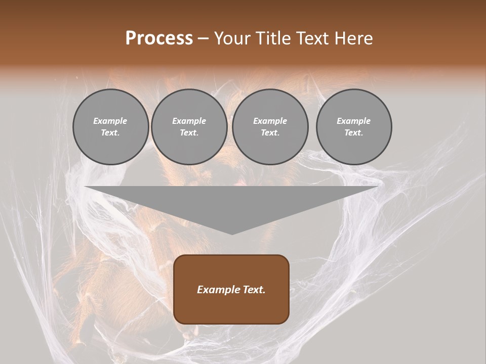 Animal Nature Nobody PowerPoint Template