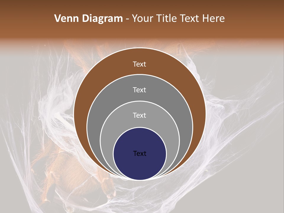 Animal Nature Nobody PowerPoint Template