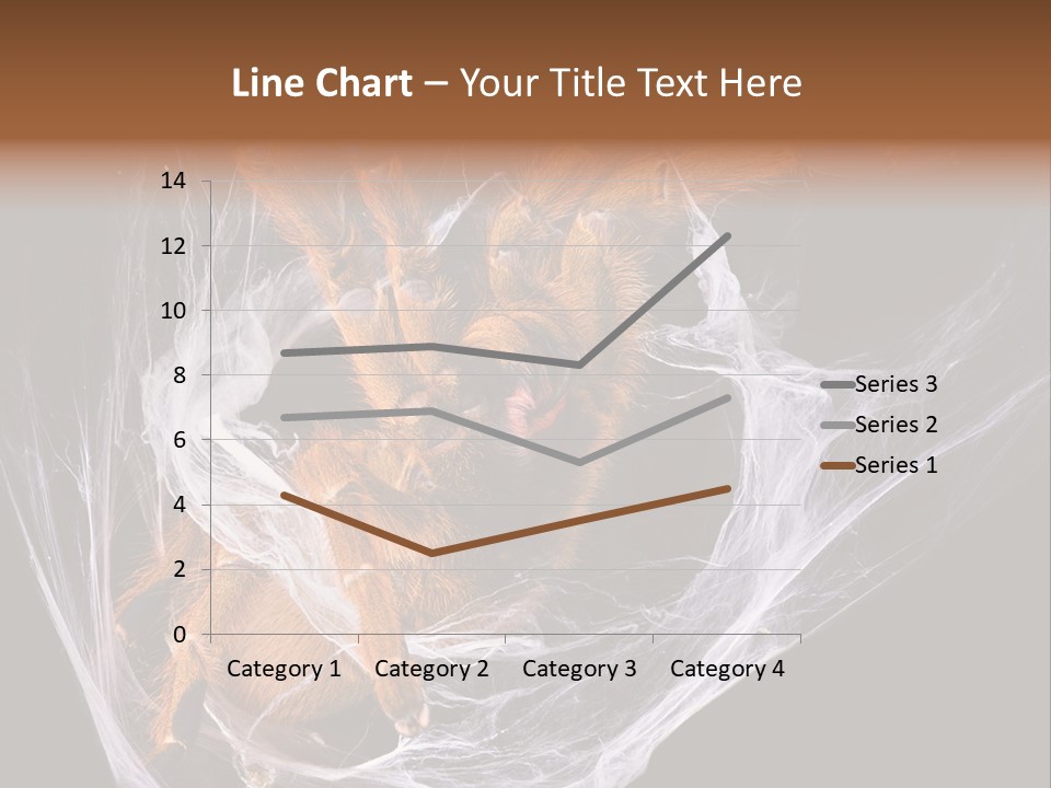 Animal Nature Nobody PowerPoint Template