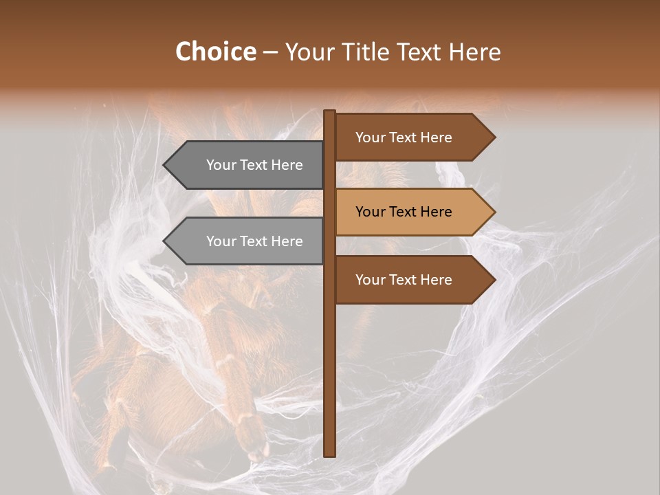 Animal Nature Nobody PowerPoint Template